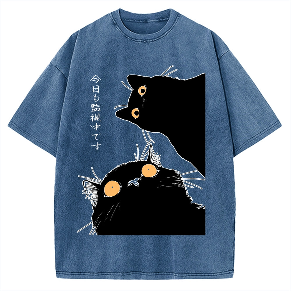 The Cat Is Watching Today Vintage Washed T-shirt