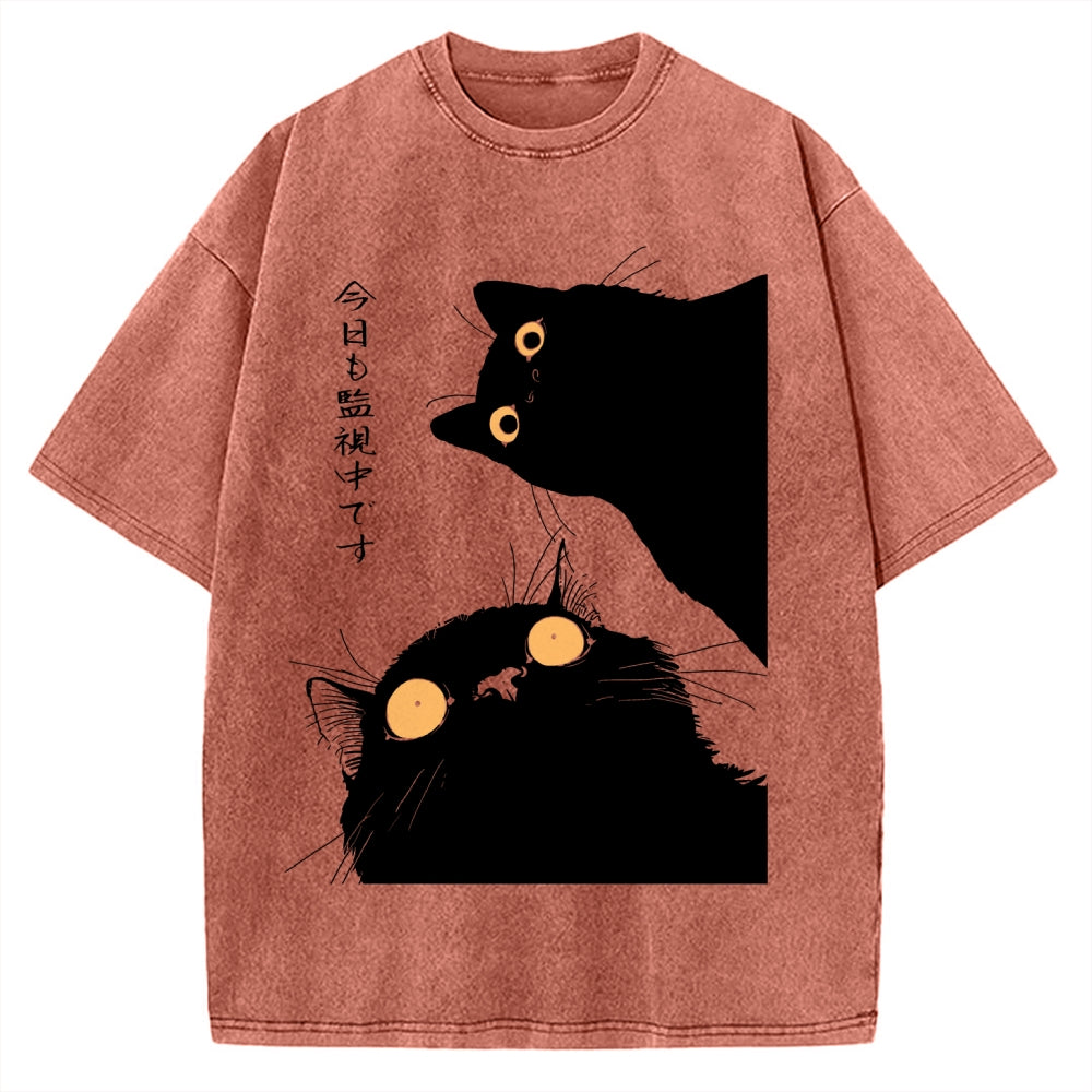 The Cat Is Watching Today Vintage Washed T-shirt